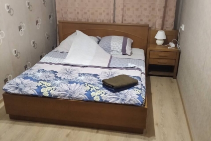 Квартира в центре города на сутки и часы